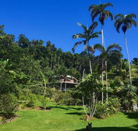 A Daintree Garden - Accommodation Rockhampton