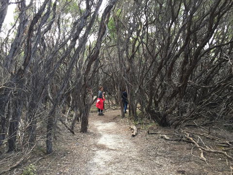 Aashay B&B - Accommodation Rockhampton 3