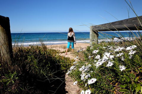 Absolute Beachfront Mollymook - Accommodation Rockhampton 3
