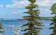 Fine Pine - Beachside Lifestyle With Two Balconies - thumb 3