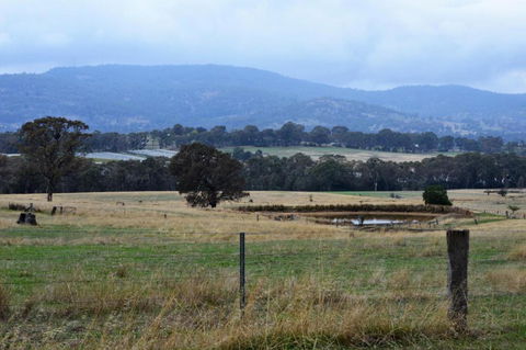 Friends In Harcourt North - Accommodation Rockhampton 2