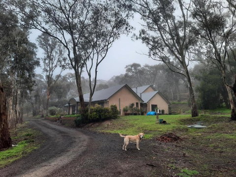 Frogmouth Hollow - Accommodation Rockhampton 0