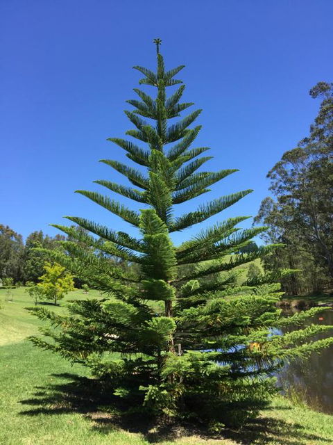 Garden Hill Sandstone Villas: Shoalhaven NSW Australia - Accommodation Rockhampton 1