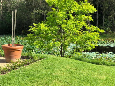 Garden Hill Sandstone Villas: Shoalhaven NSW Australia - Accommodation Rockhampton 2