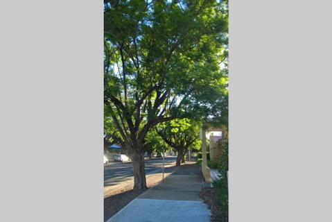 Gawler Heritage Accommodation - Accommodation Rockhampton 1