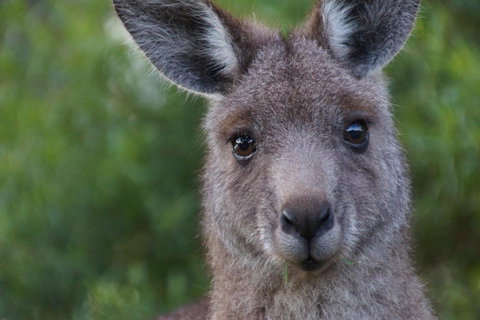 Gipsy Point Lakeside - Accommodation Rockhampton 4