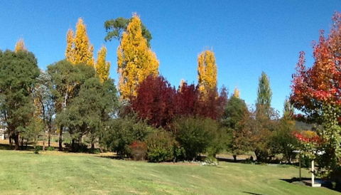 Glen Waverly Farmstay - Accommodation Rockhampton 3
