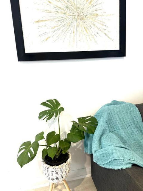 Happy Studio In NewCastle - Accommodation Rockhampton 1
