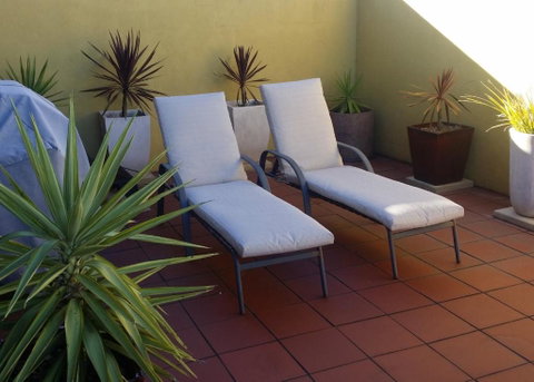 High On Penguin - Accommodation Rockhampton 1