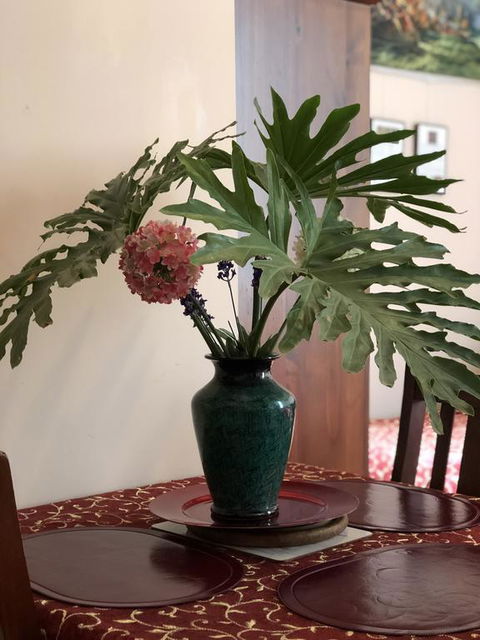 Albany Foreshore Guest House - Accommodation Rockhampton 3