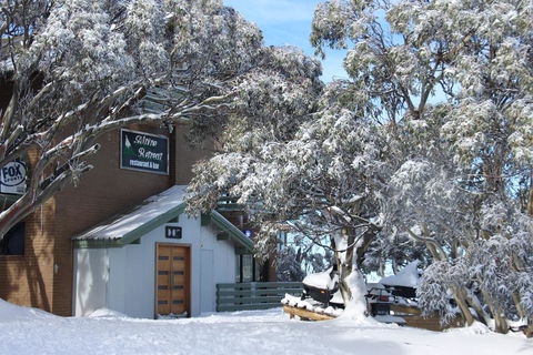 Alpine Retreat Mt Buller - Accommodation Rockhampton 0