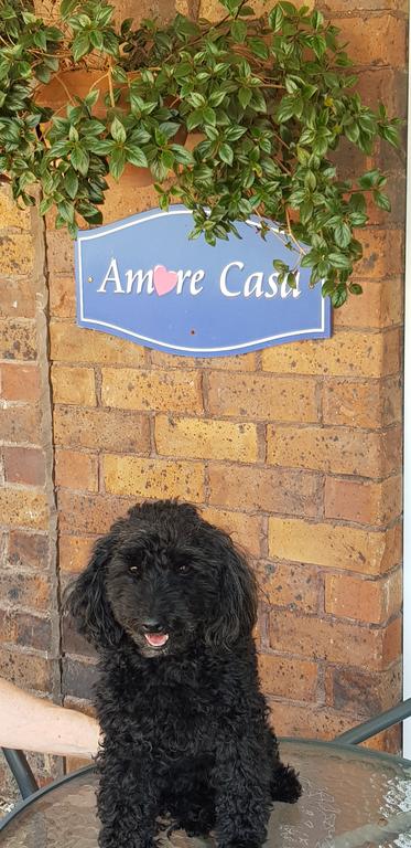 Amore Casa Tenterfield - Accommodation Rockhampton 2