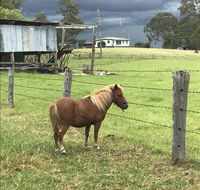 AMs Farm Stay - Accommodation Rockhampton