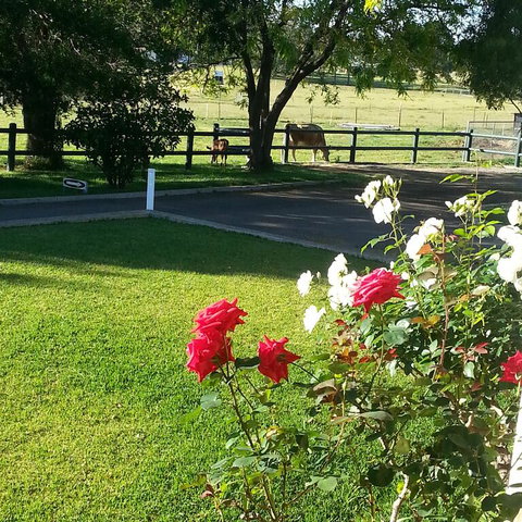 Appin Homestay B & B - Accommodation Rockhampton 3