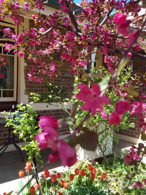 Arden On McLachlan - Accommodation Rockhampton 3