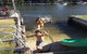 Mandurah Riverfront Holiday Rental - thumb 1