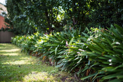 Merivale Motel - Accommodation Rockhampton 2