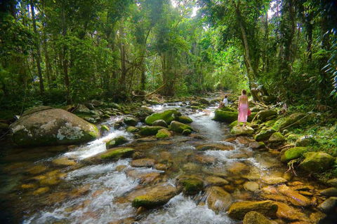 Misty Mountains Hideaway - Accommodation Rockhampton 0
