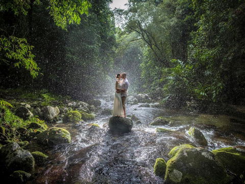 Misty Mountains Hideaway - Accommodation Rockhampton 3