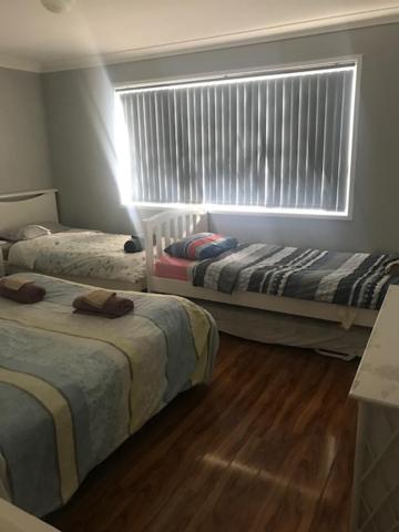 Mystic Blue And Green Meadow - Accommodation Rockhampton 3