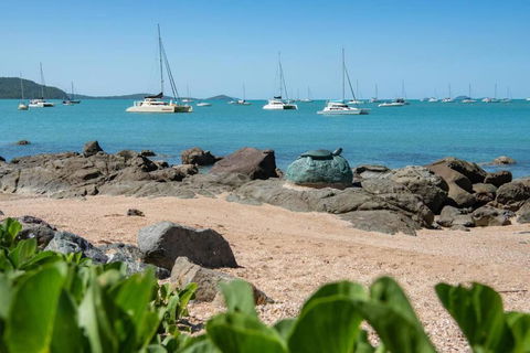 NEW! Gorgeous 2BR Apartment With Stunning Ocean Views! - Accommodation Rockhampton 1