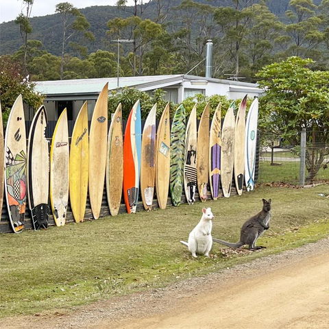 NOFOMO AT ADVENTURE BAY - Accommodation Rockhampton 0