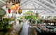 Noosa Valley Manor B&B - thumb 0