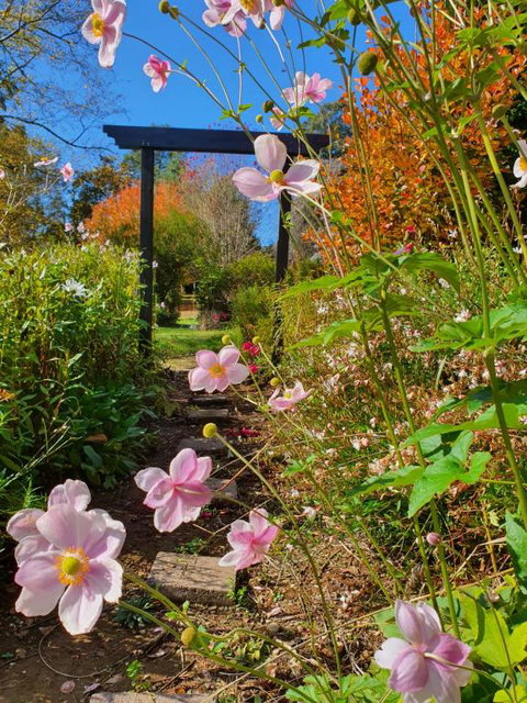 Oaktree Guest House - Accommodation Rockhampton 3