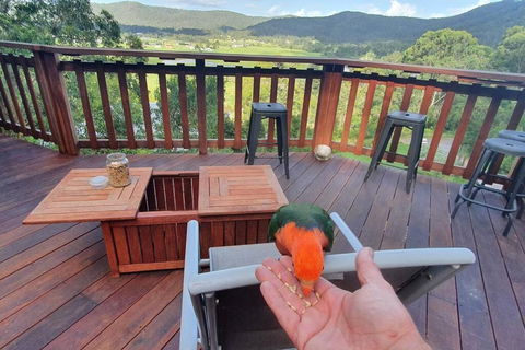 Paterson Skywalk - Accommodation Rockhampton 3