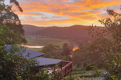 Paterson Skywalk - Accommodation Rockhampton 0