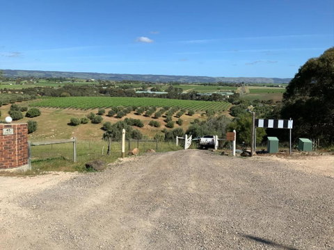 Pedlar Creek Tiny House By Tiny Away - Accommodation Rockhampton 2
