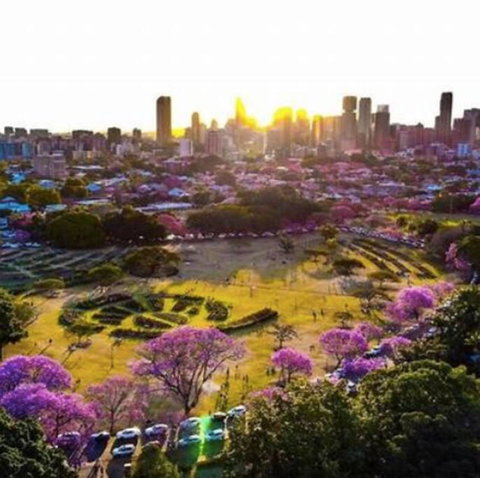 Perfect Haven In Spring Hill 2B1B And Parking - Accommodation Rockhampton 2