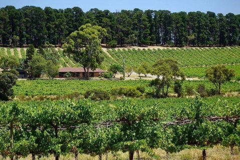 Picturesque Vineyard Farmhouse Nestled On 40-Acres - Accommodation Rockhampton 0