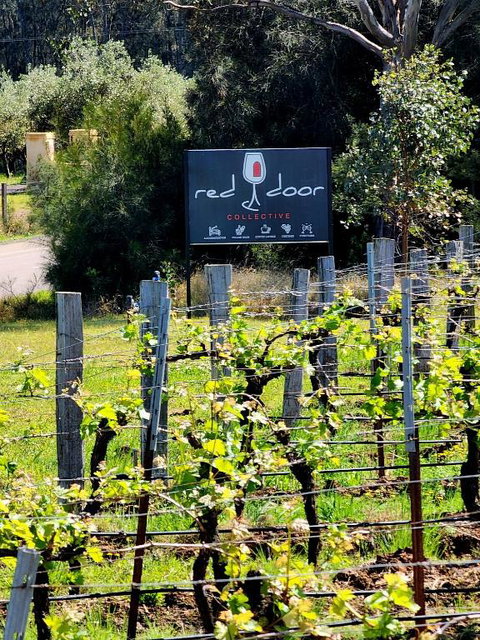 Red Door Collective - RDC Vineyard Estate, Luxury Adult Only Stay - Accommodation Rockhampton 1