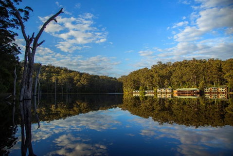 RAC Karri Valley Resort - Accommodation Rockhampton 3
