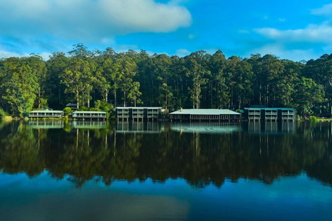 RAC Karri Valley Resort - Accommodation Rockhampton 2