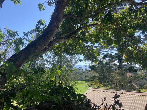 Potters Cottage - Accommodation Rockhampton 3