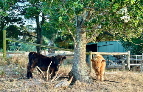 Private, Secluded Farm Retreat - Accommodation Rockhampton 3