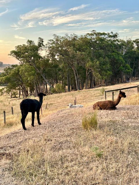 Private, Secluded Farm Retreat - Accommodation Rockhampton 2