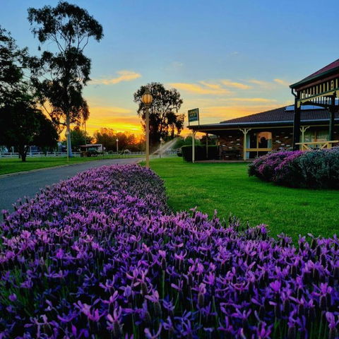 Quality Inn Carriage House - Accommodation Rockhampton 1