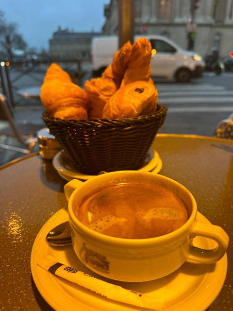 Randwick Luxury 2 Bed Apt - Accommodation Rockhampton 1