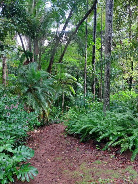 Rainforest Retreat-Fireplace-BBQ-3 Acres- - Accommodation Rockhampton 0