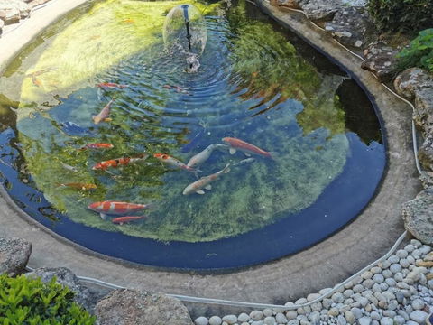 Attached Self Service Waterfront Whole Villa - Sydney - Accommodation Rockhampton 2