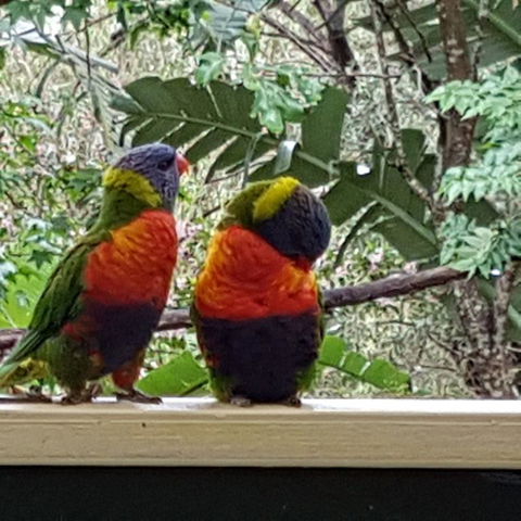 Avoca Beach Cape Cottage - Accommodation Rockhampton 3