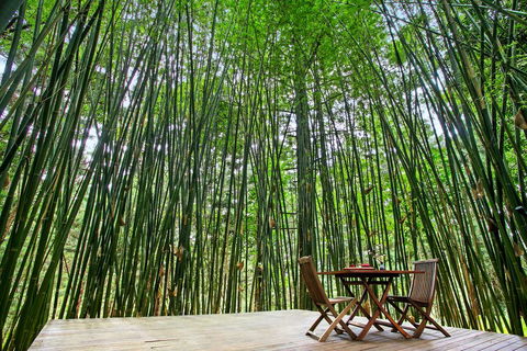 Azabu Boutique Accommodation - Accommodation Rockhampton 1