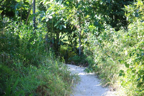Backpackers Inn On The Beach - Accommodation Rockhampton 2