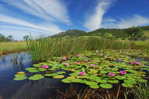 Barrington Hideaway- River Cottages - Accommodation Rockhampton 0