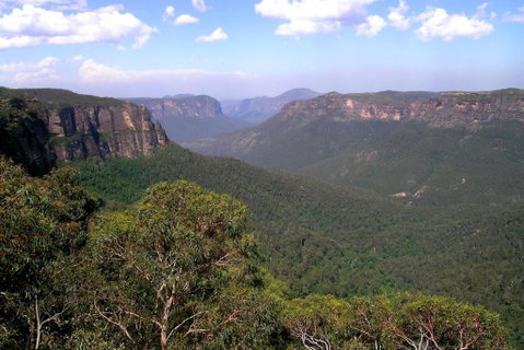 Ribbon Gum Lodge - Accommodation Rockhampton 1