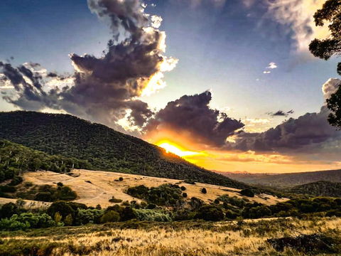 Roam Merrijig - Luxury Stay With Mountain Views - Foothills Of Mt Buller - Accommodation Rockhampton 1