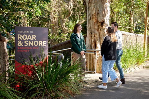 Roar And Snore - Accommodation Rockhampton 1